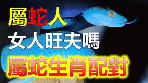 屬蛇男配對|揭秘：生肖屬蛇人這輩子的最佳姻緣伴侶？